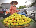 Vì sao ban ngành 'bó tay' hàng loạt với hoa quả Trung Quốc